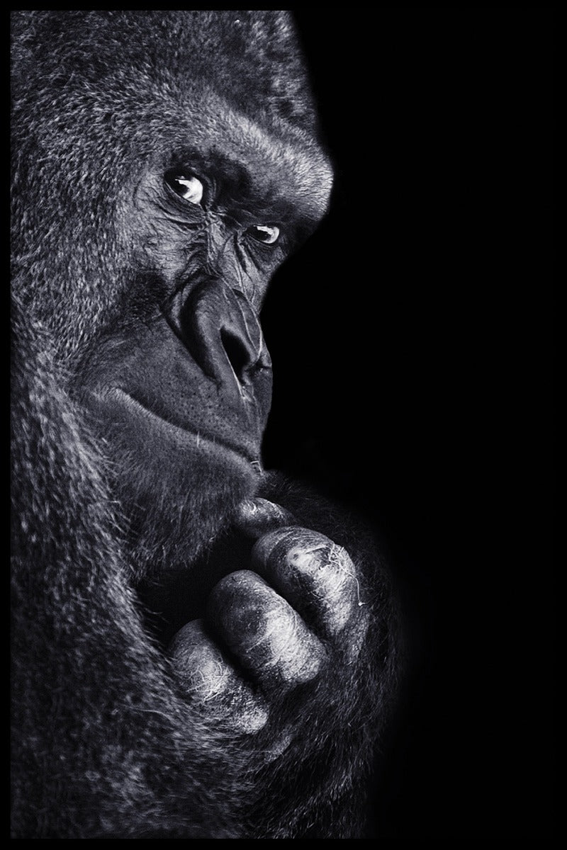 Gorilla portræt plakat