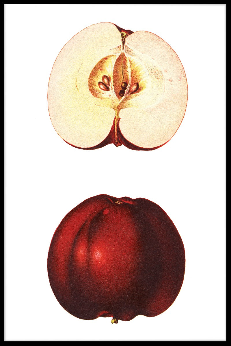 Rød æble plakat