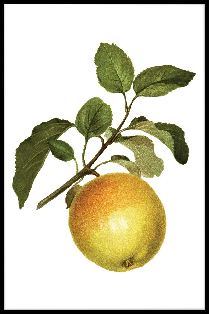 Gul æble plakat