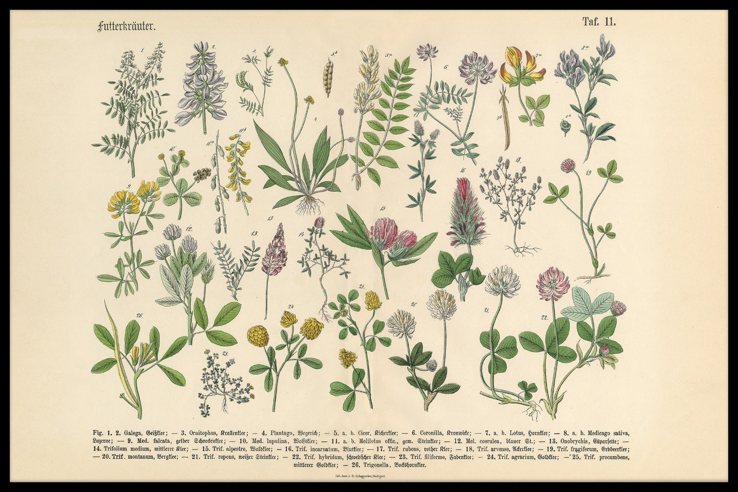 Vintage plakat til victoriansk have