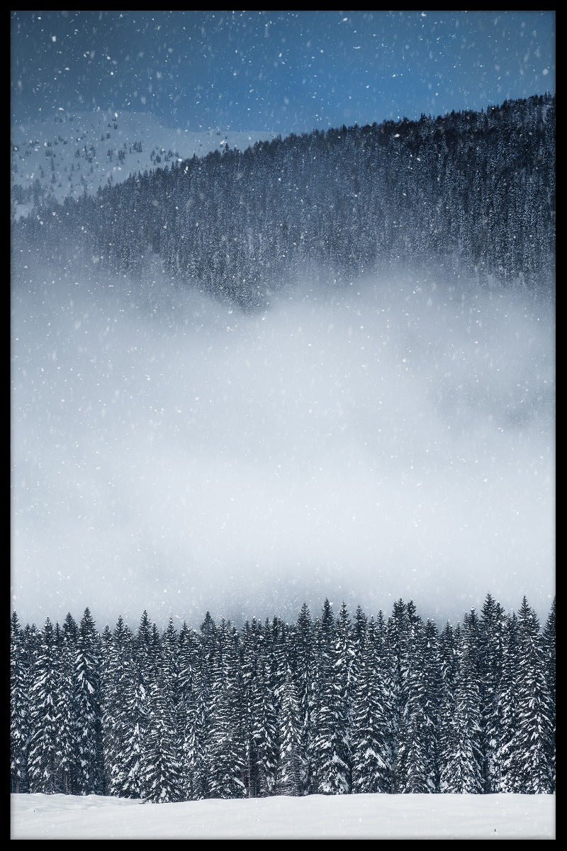 Vinterudsigt skovindgange