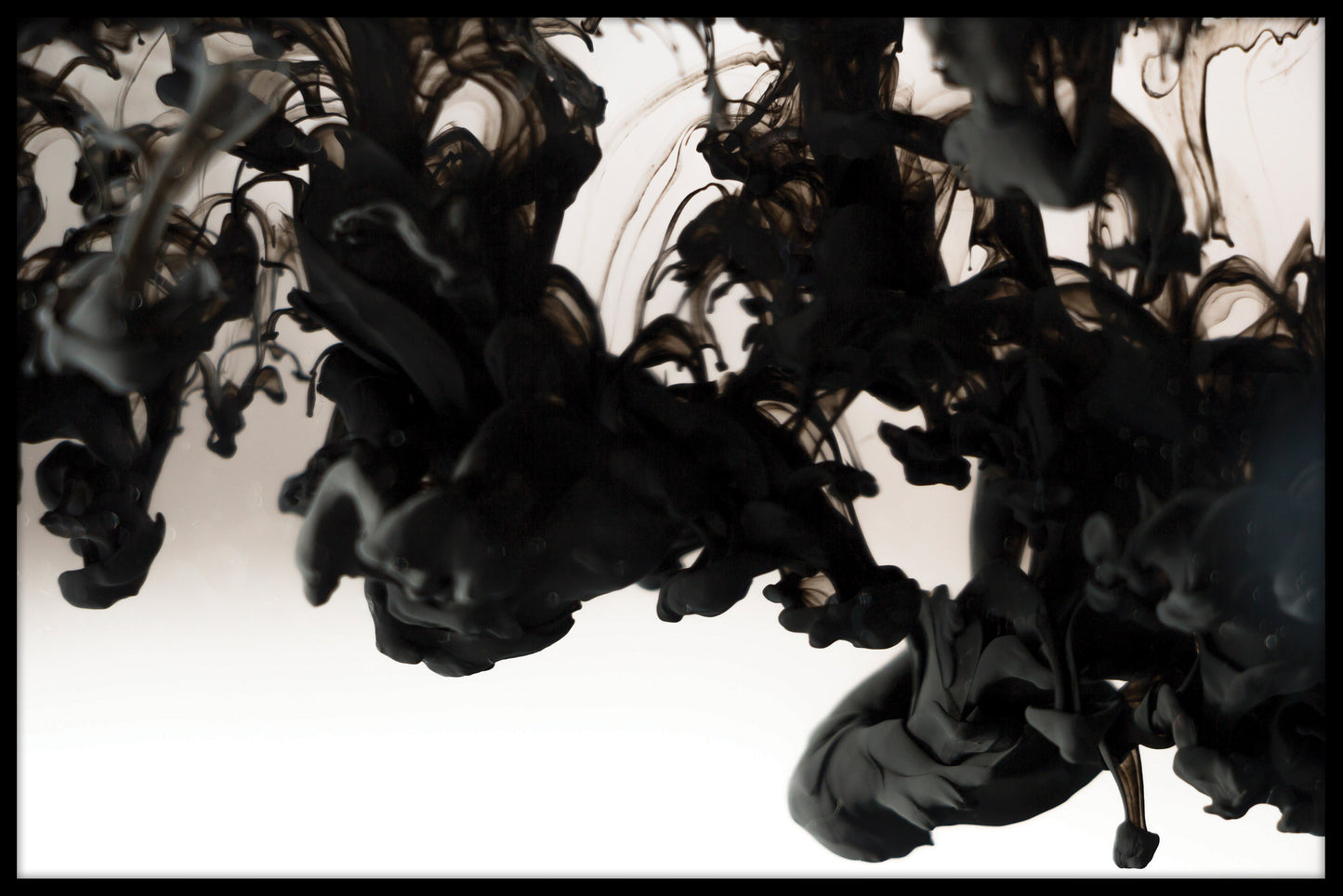 Sort blæk i vand plakat