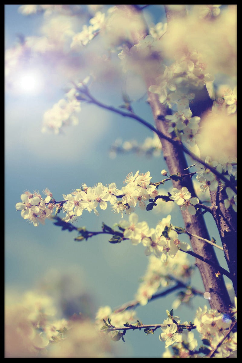 Vintage körsbärsträd plakat