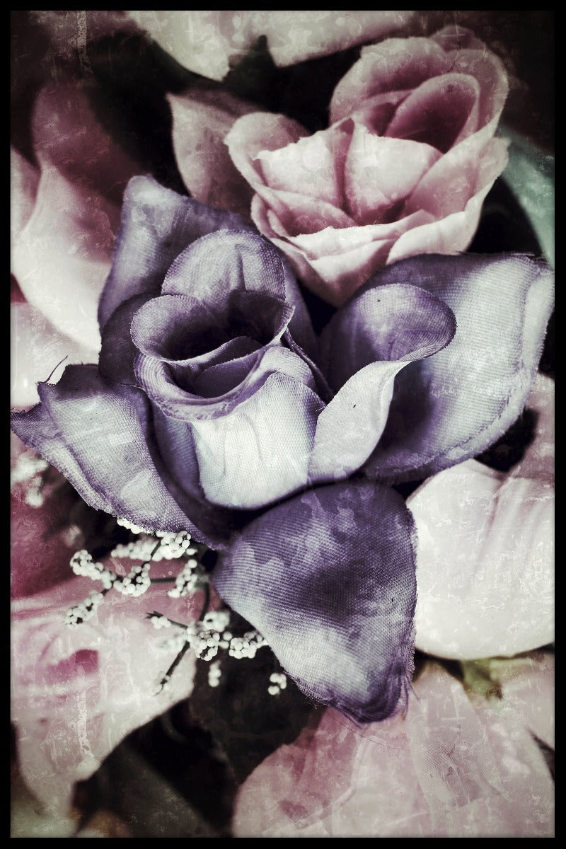 Rose plakat