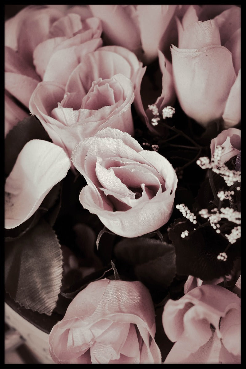Rose N02 plakat