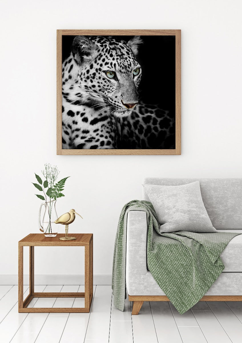 Leopard plakat