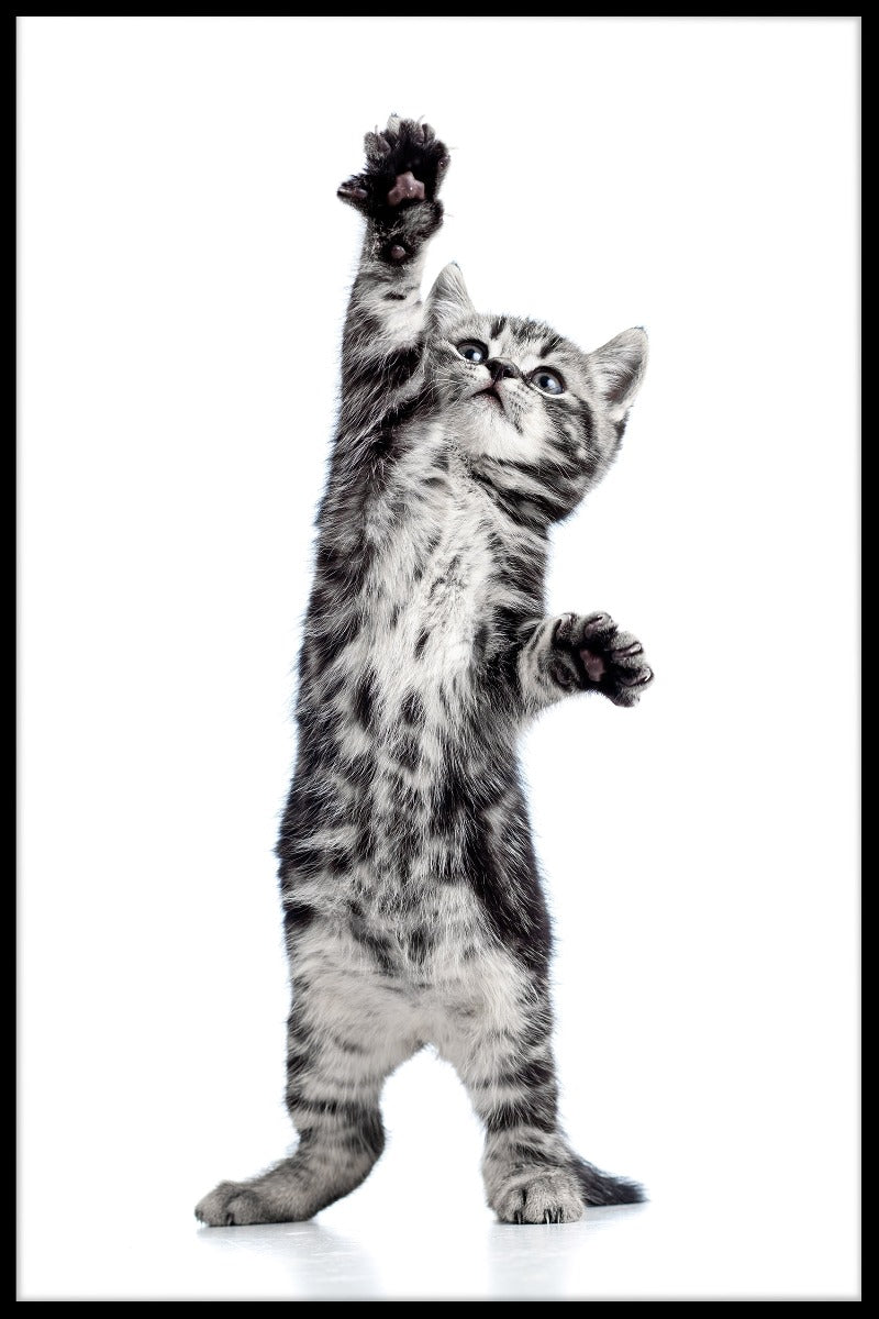 Playful killing plakater