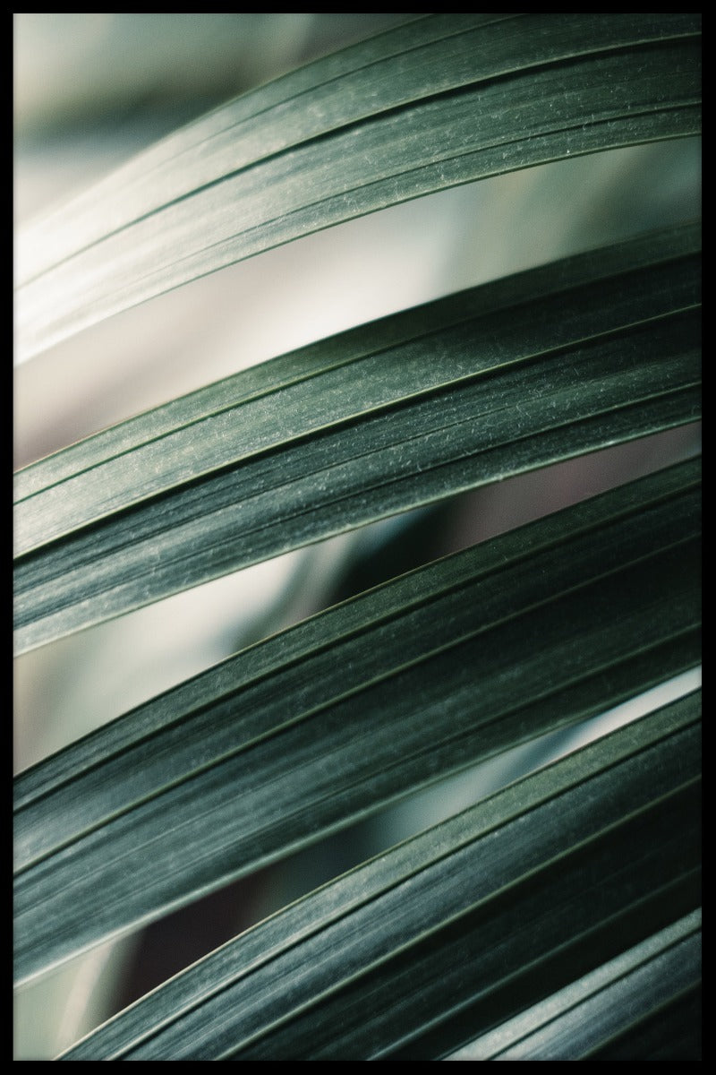 Tropiske blade plakat