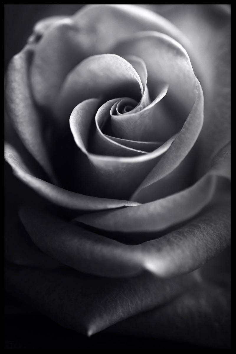 Makroblomst N03 varer