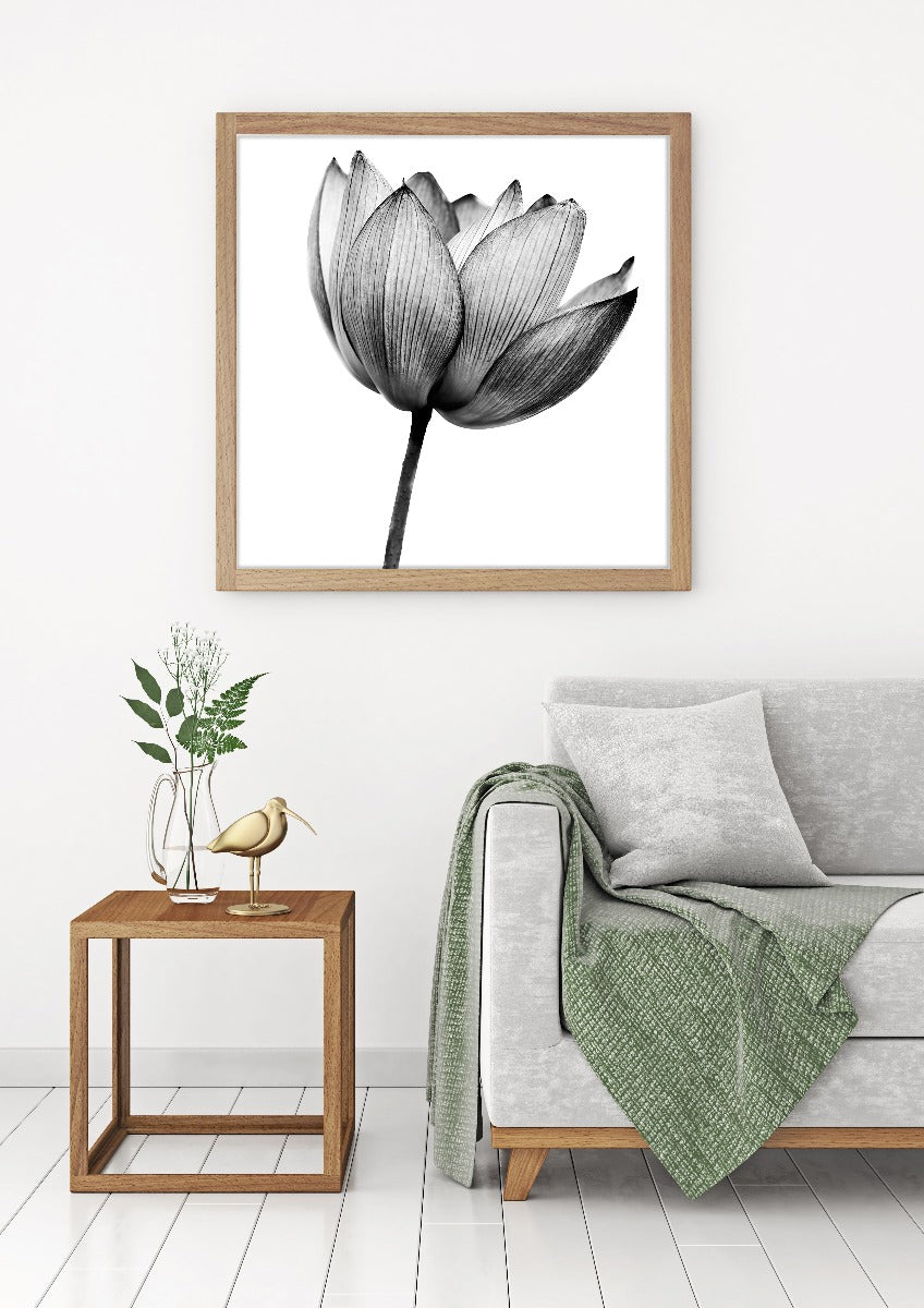 Lotus sort/hvid plakat