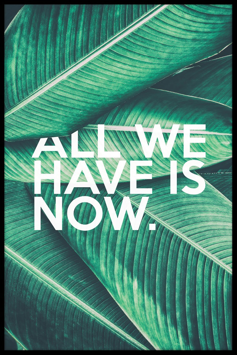 Det eneste, vi har nu, er rekorder