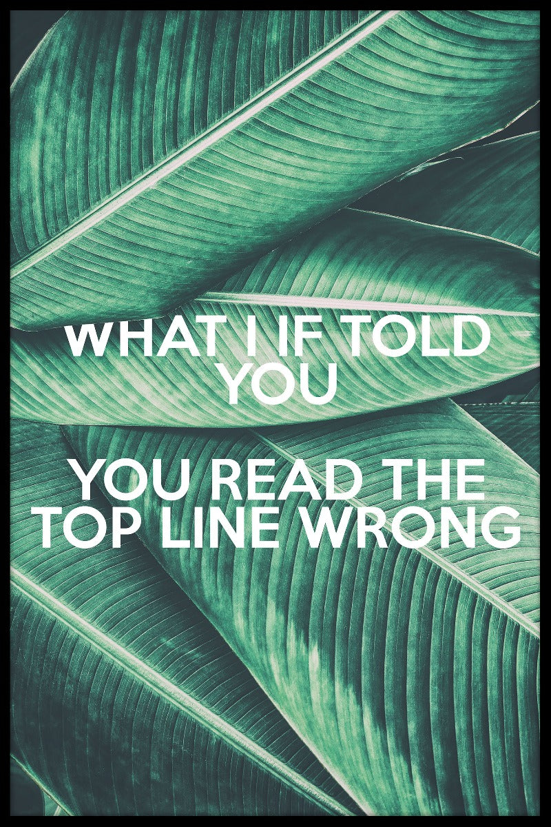 Hvad jeg fortalte dig om N02-indgange