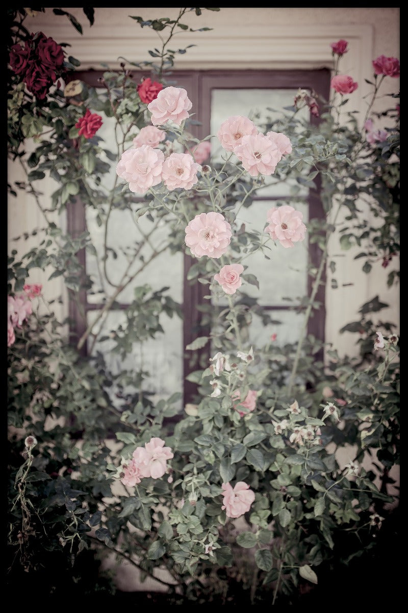 Gotland Blomsterpost