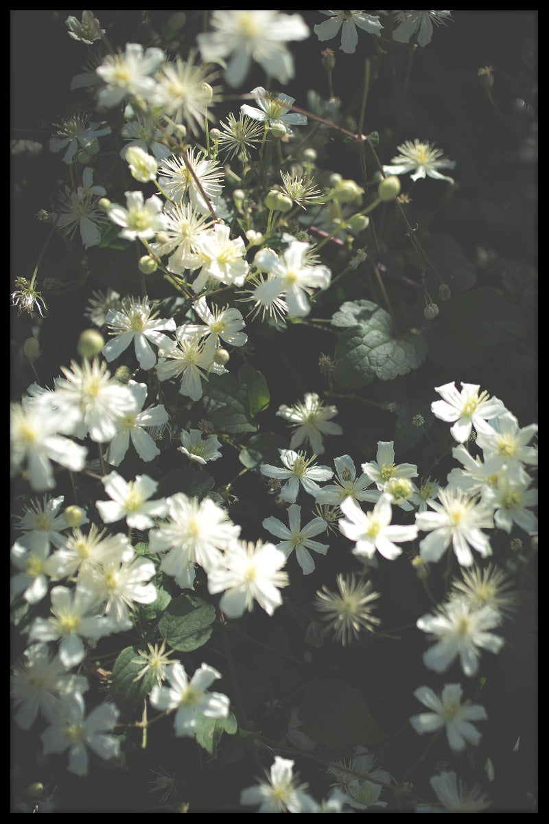 Stockholm Blomsterpost