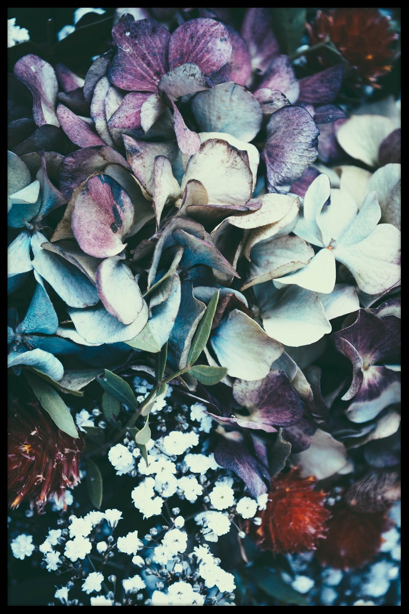 Efterårsblomster N02 optager