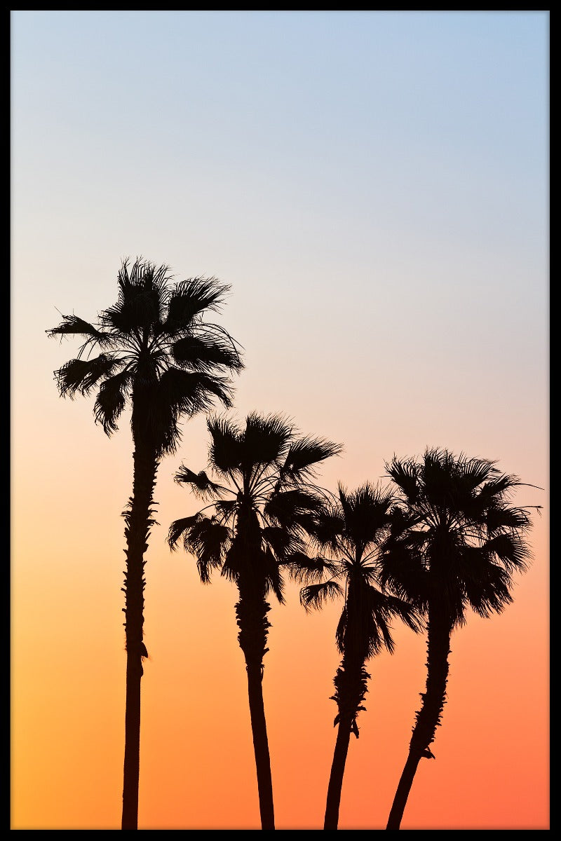 Palme solnedgang plakat