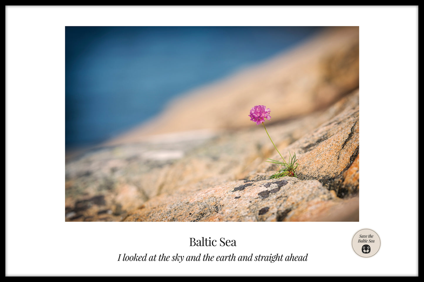 plakat Bloom ved Østersøen
