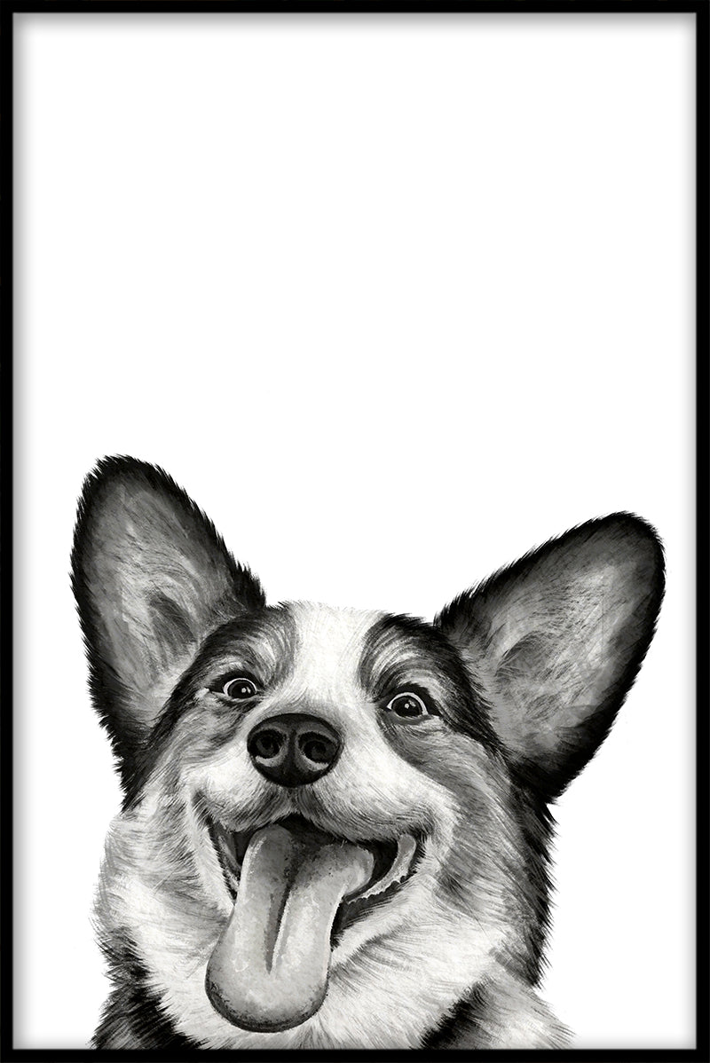 Corgi plakat