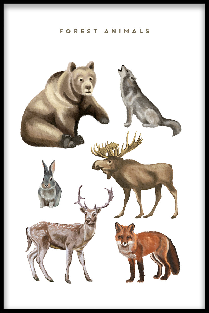 Skovdyr Illustrationsplakat