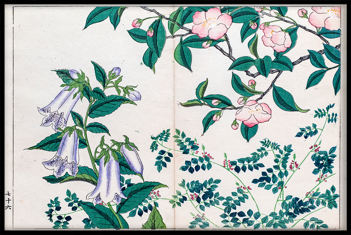 Japan Illustration N01 rekord
