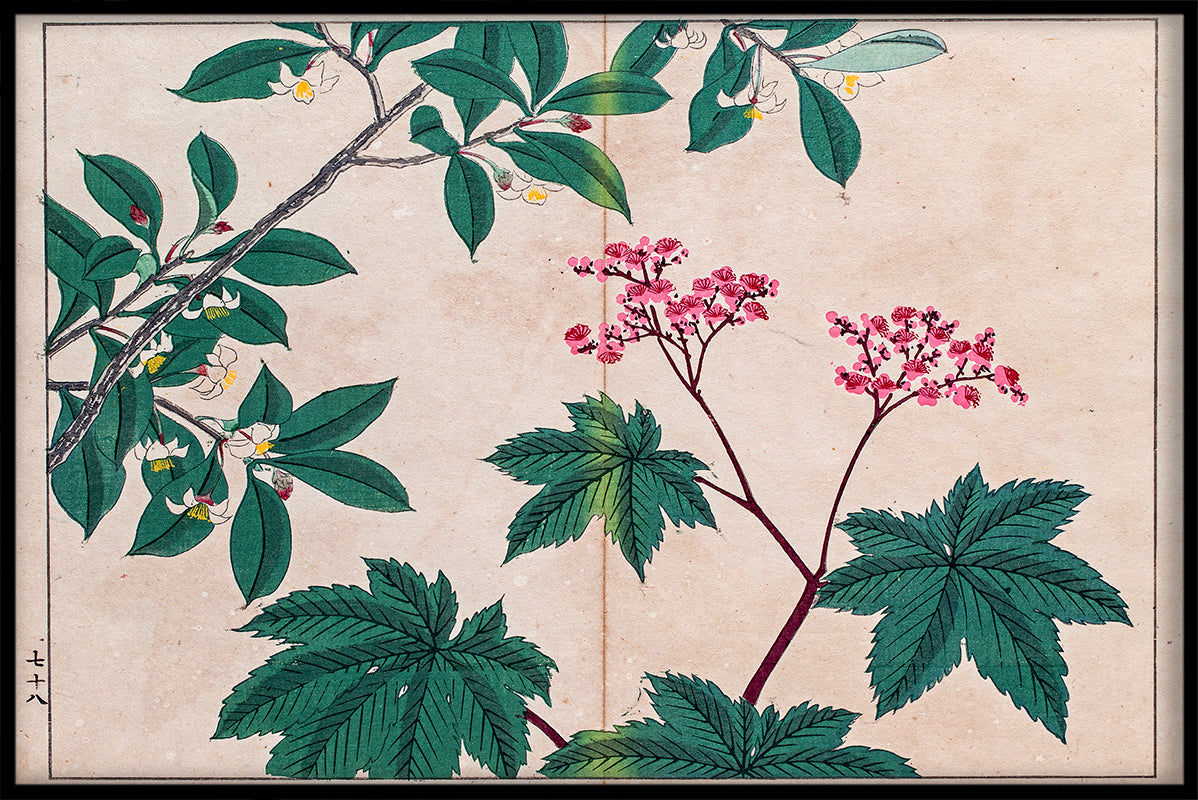 Japan Illustration N02 registrerer