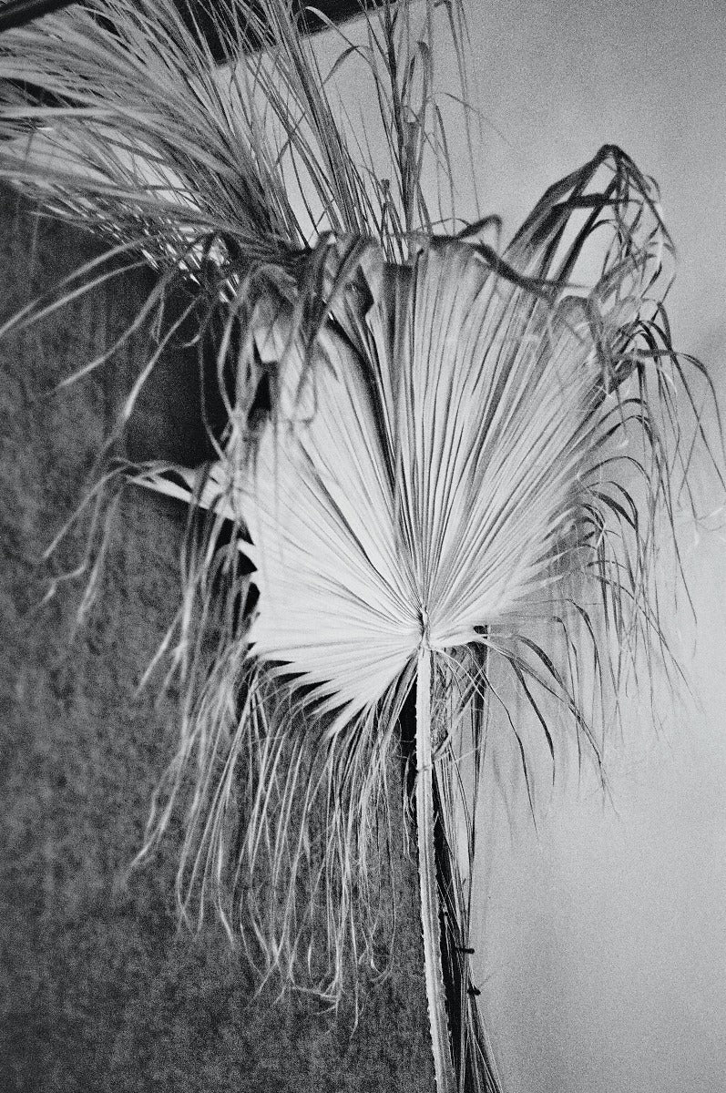 Abstrakt fotografi N02 plakat