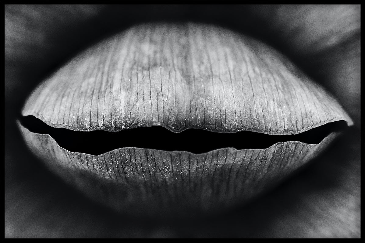 Abstrakt sort og hvid N02 plakat