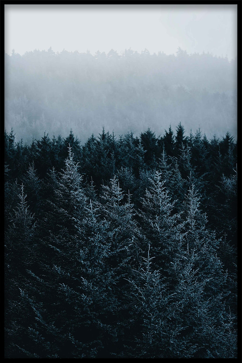 Skandinavisk efterår N02 Plakat-s