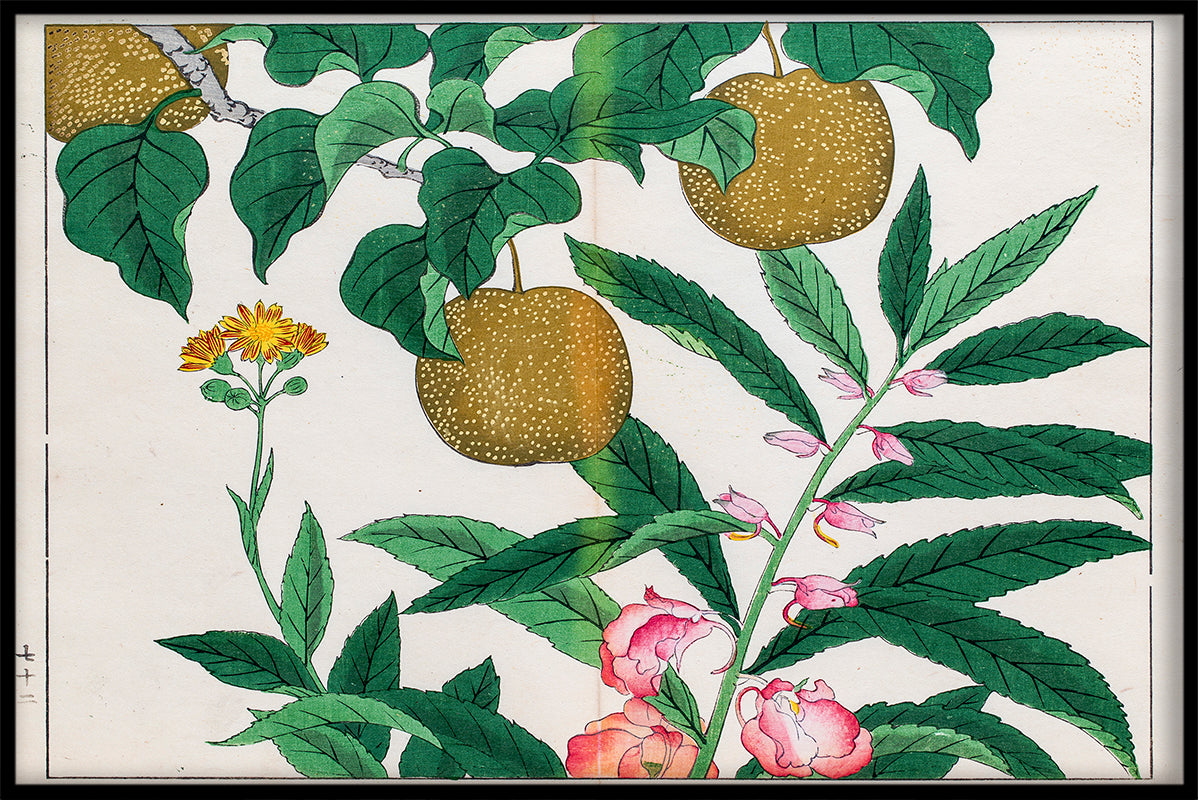 Japansk Illustration N03 rekord