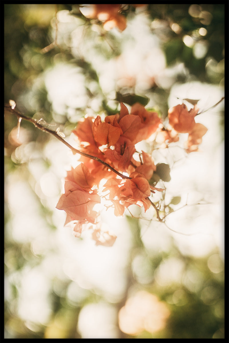 Södra Europa N02 plakat