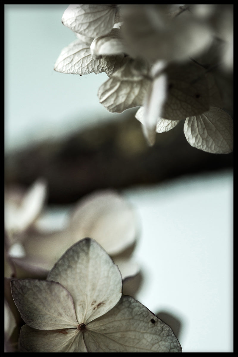 Vintage Blomma N03 plakat