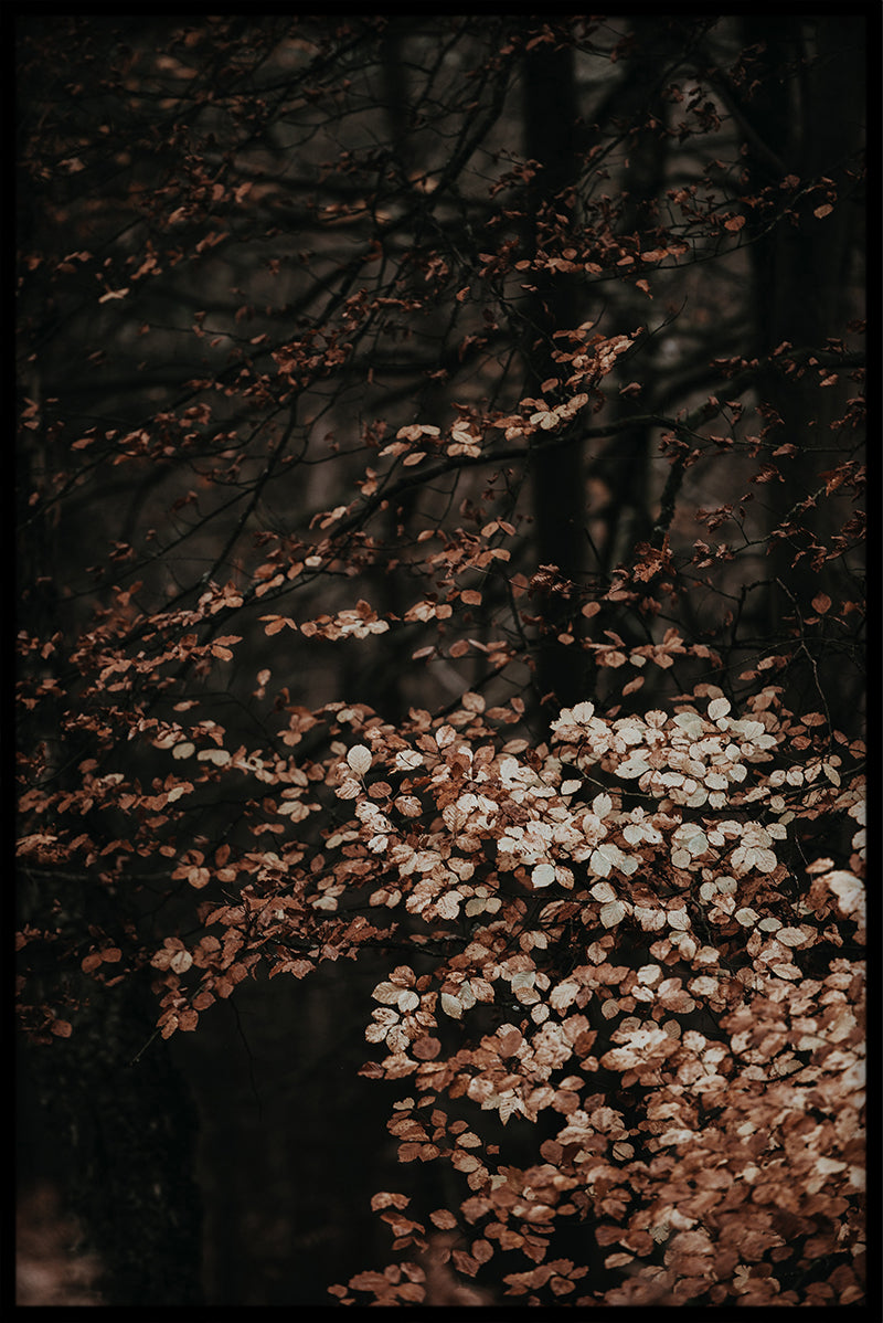 Vintage botanisk samling N01 plakat