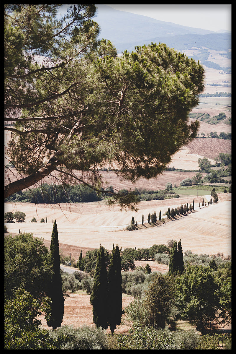 Italien samling N02 plakat