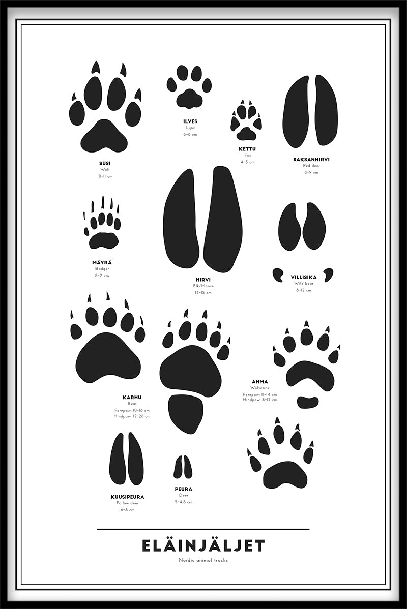 Eläinjäljet Poster