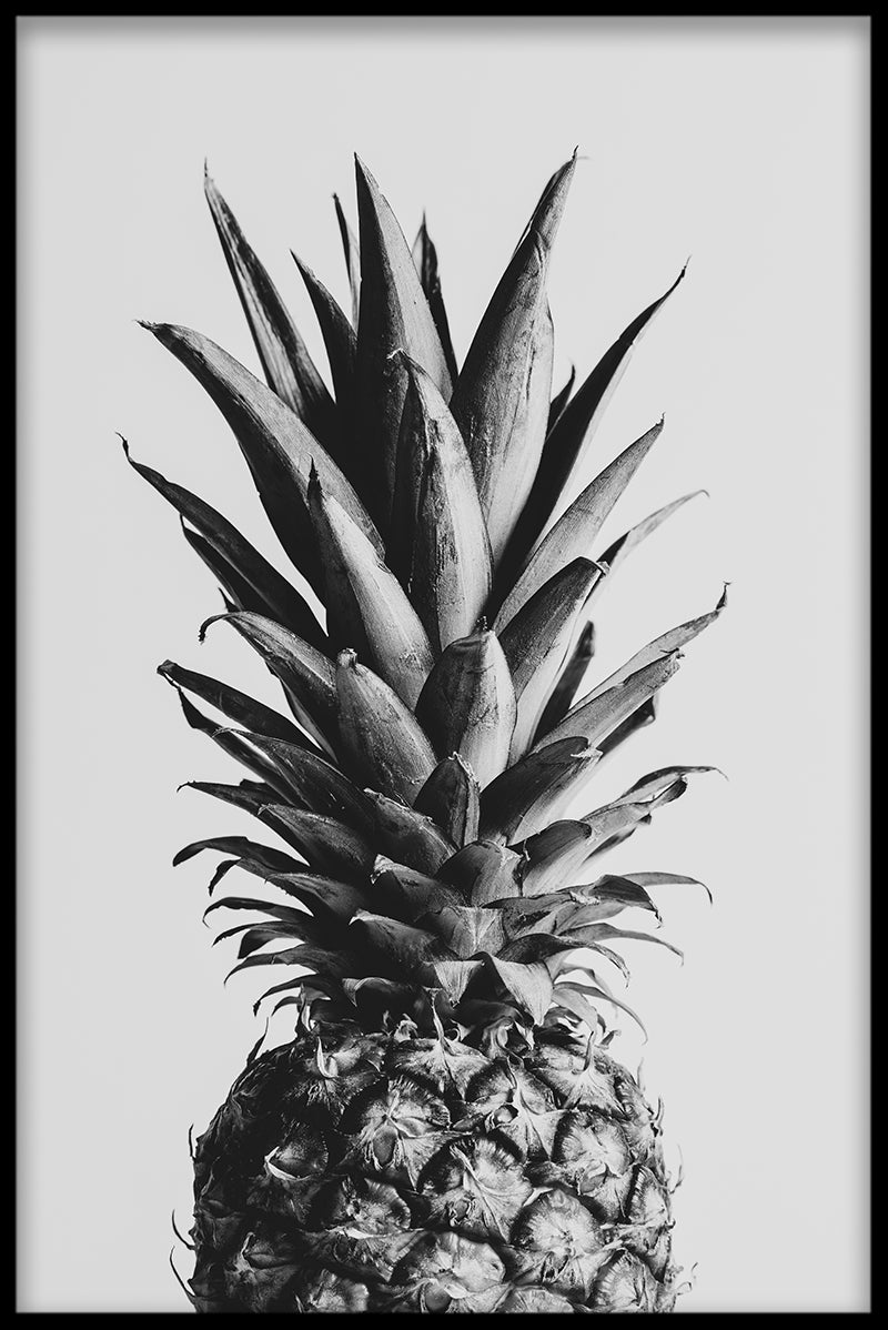 Ananas N02 plakat