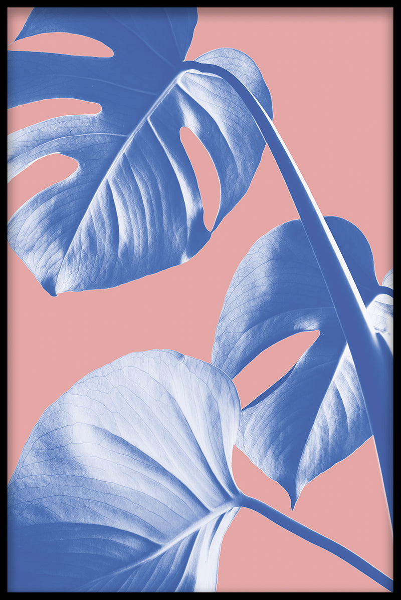 Abstrakt Monstera N05 plakat
