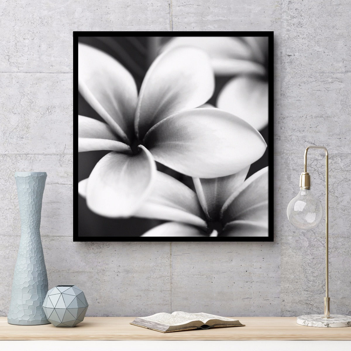 Frangipani botanisk plakat