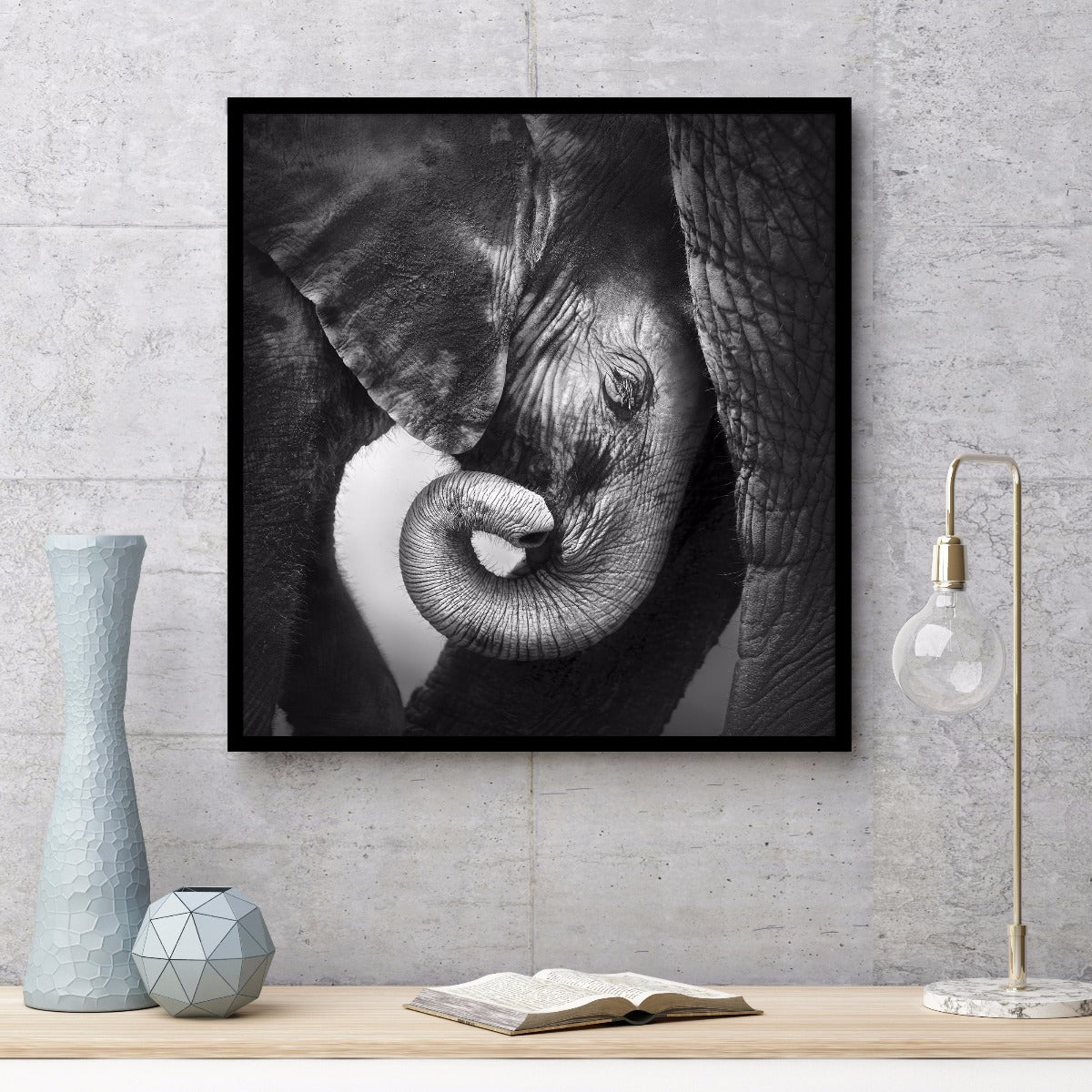 Baby elefant plakat