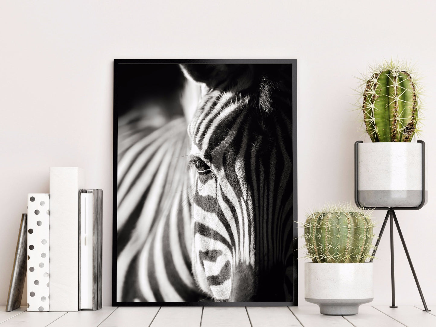 Zebra portræt natur plakat