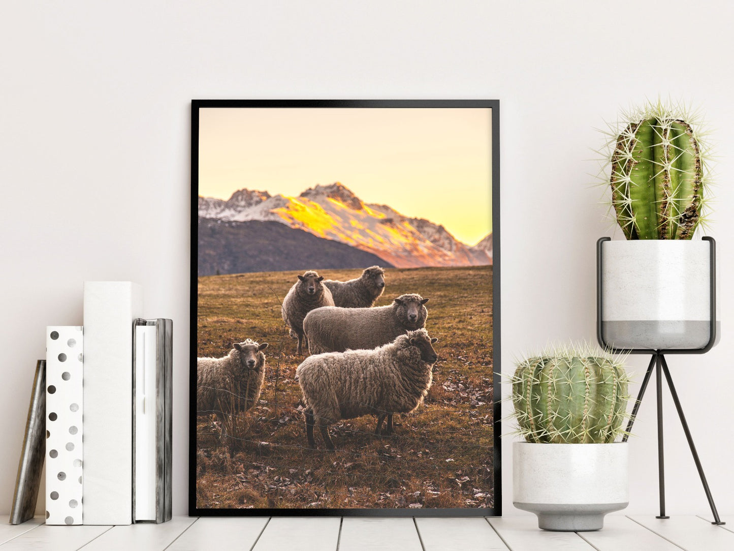New Zealands fårrekorder