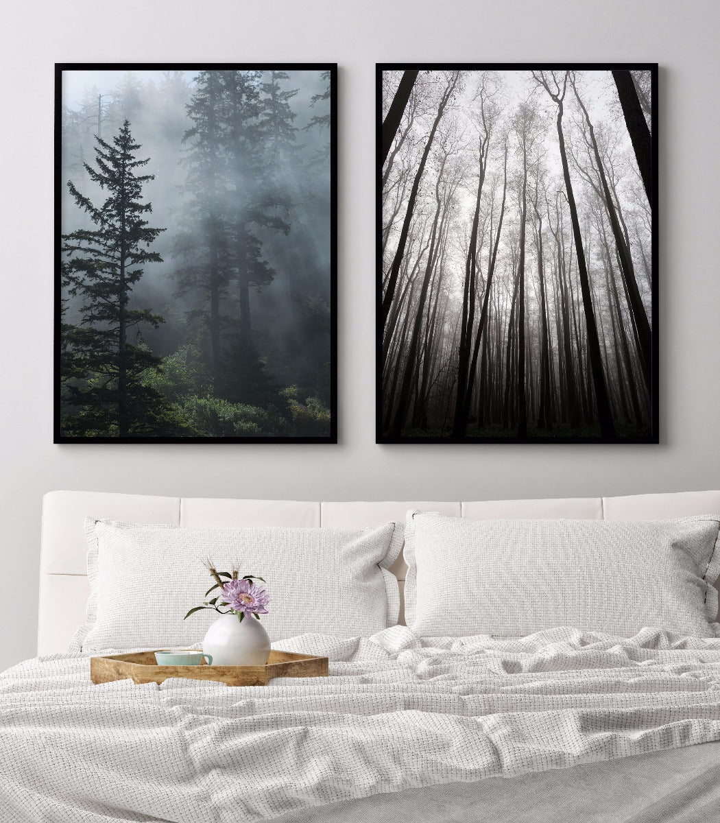 plakater Tåge i den stedsegrønne skov