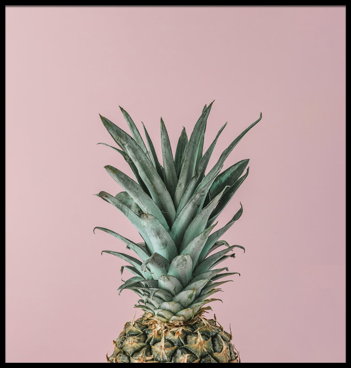 Moden ananas lyserød baggrundsplakat