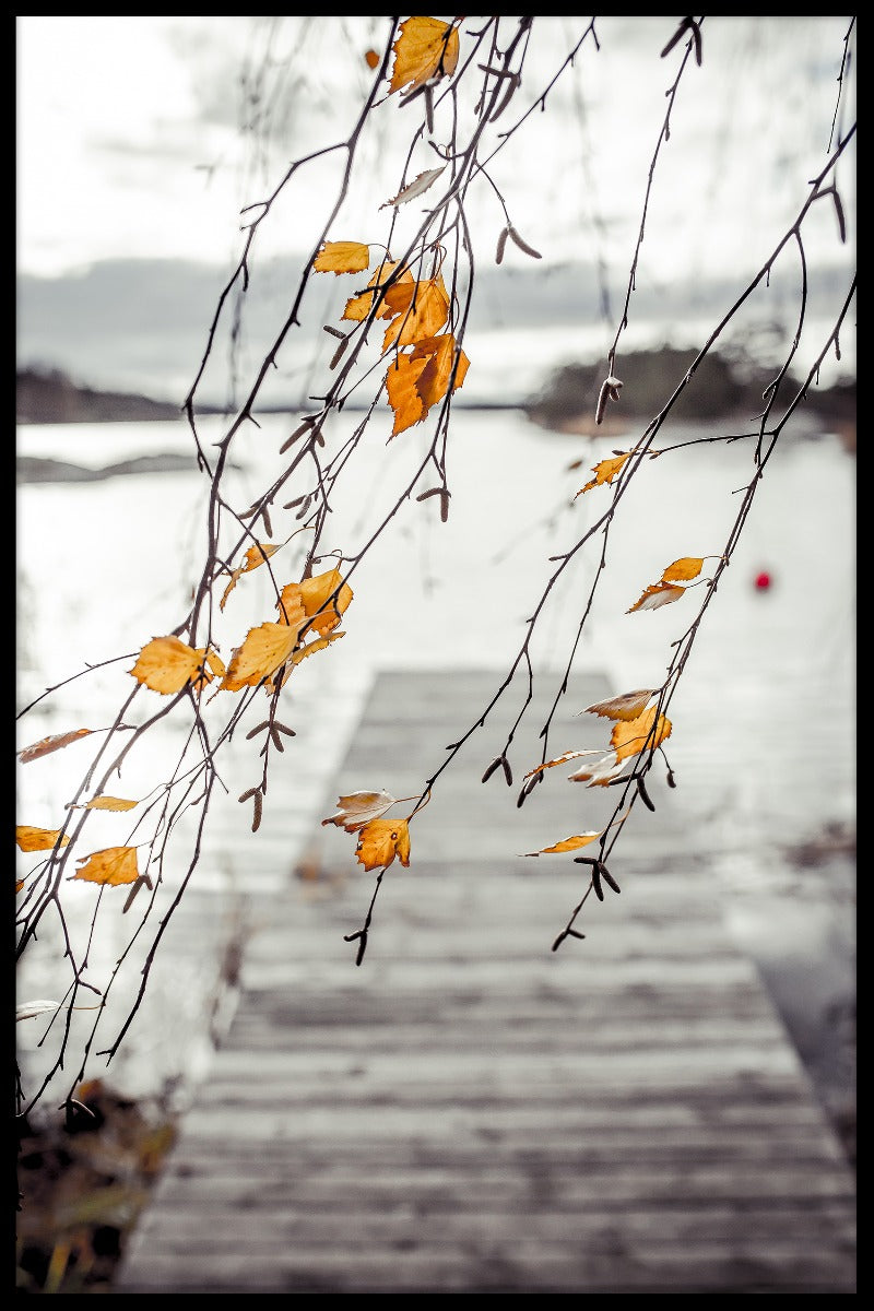 Efterårets skærgårdsposter