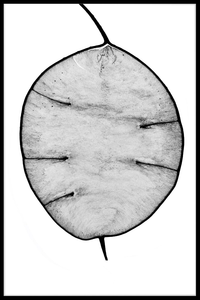 Illustration Abstrakt N02 genstande