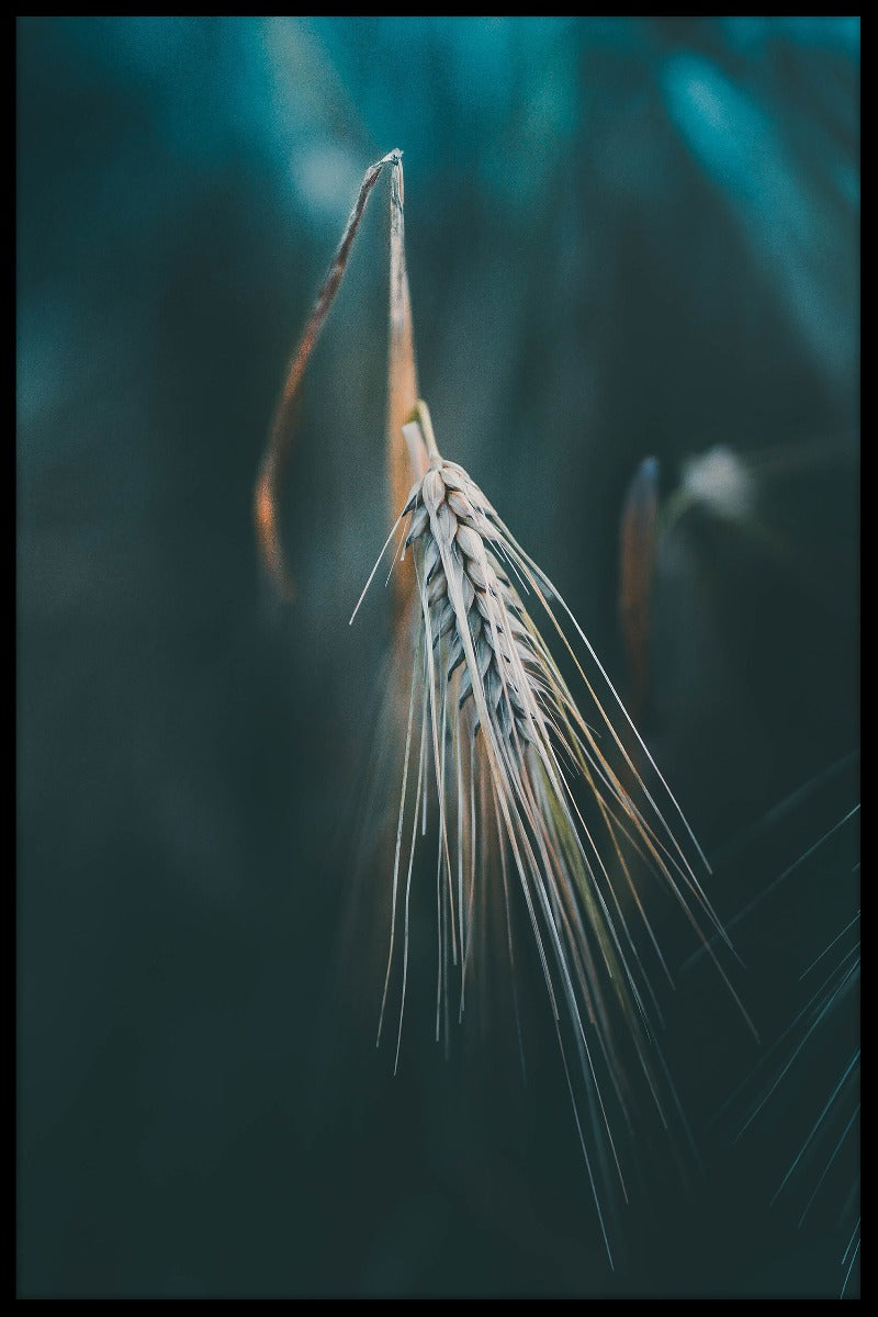 Fredfyldt efterårsnaturplakat