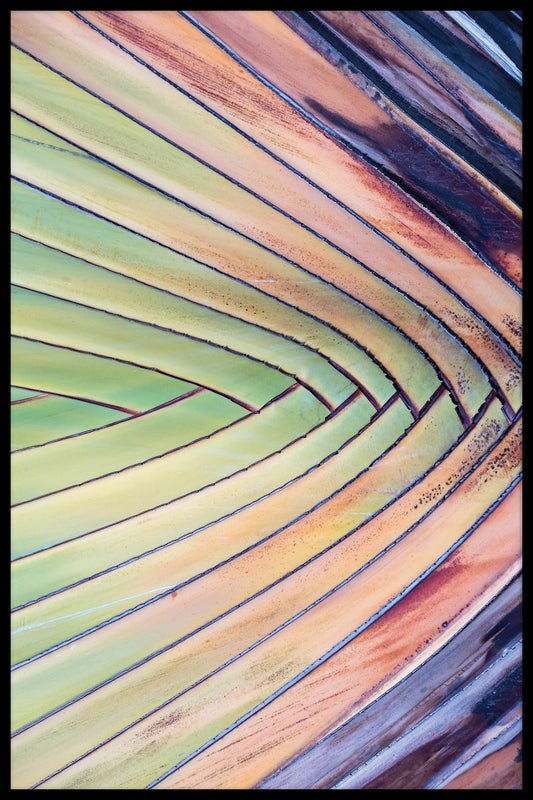  Flerfarvede palmestolper