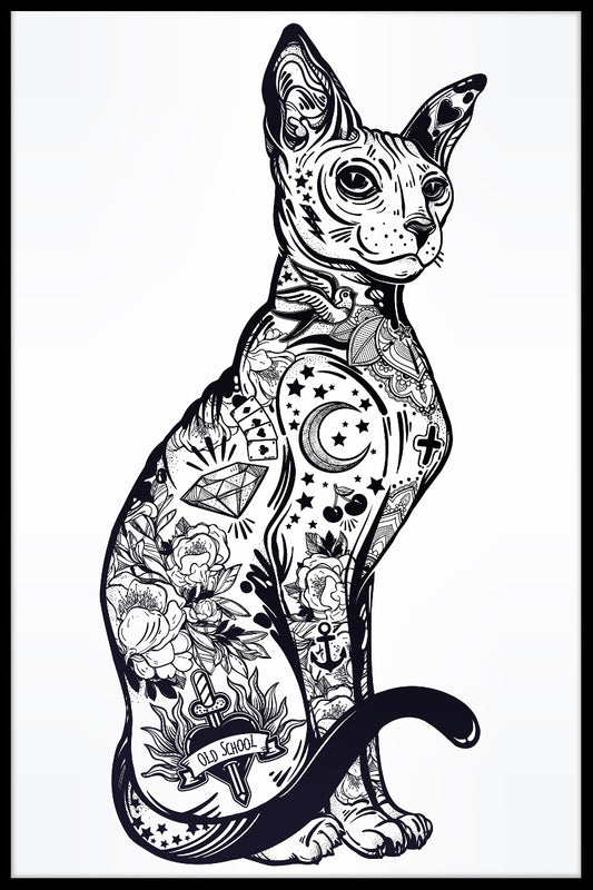  Cat Sphynx Illustration plakat