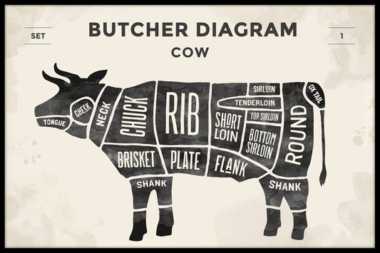 Oksekødsudskæringer Illustrationsplakat