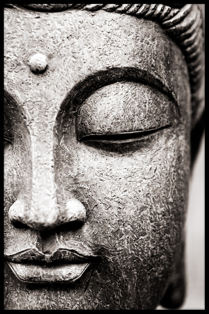  Buddha nærbillede plakat-s