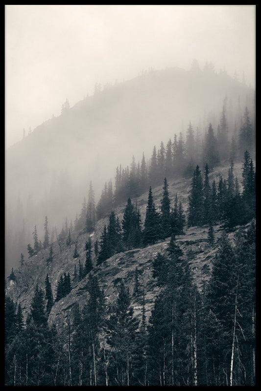  Banff National Park plakat
